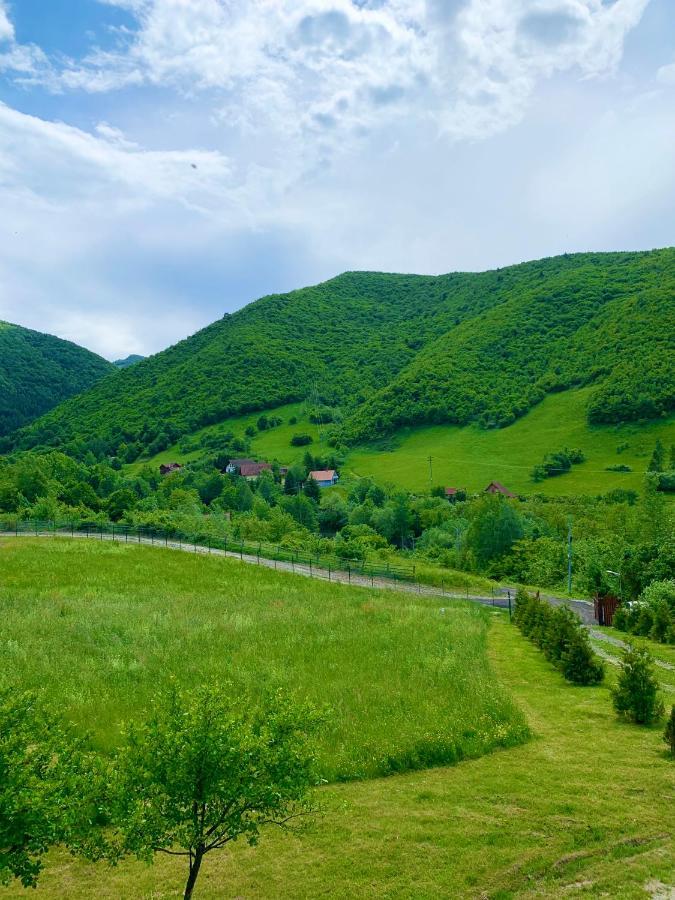 Rustic Cottage Sibiu Exteriör bild